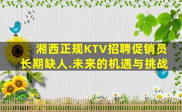 湘西正规KTV招聘促销员长期缺人.未来的机遇与挑战